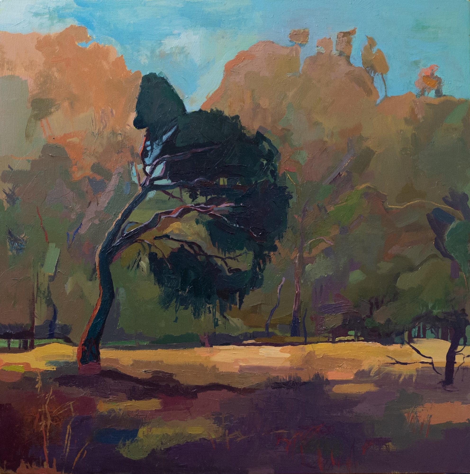 Madeline Gordon Title: Shadow-bent Tree Category